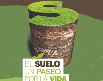El suelo. Un paseo por la vida