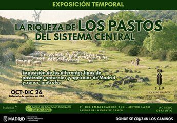 La riqueza de los pastos del Sistema Central