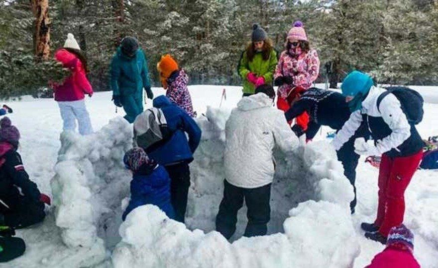 Paseo con raquetas de nieve + Construcción de un iglú