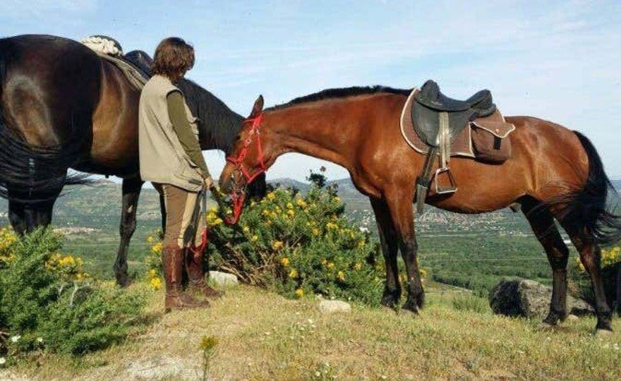 Paseo a caballo por el Parque Nacional de Guadarrama