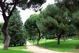 Ruta 'Bosques Autóctonos'