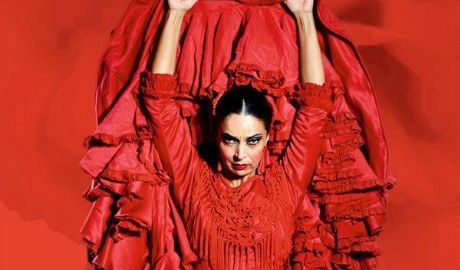 Emociones: Espectáculo Flamenco Premium
