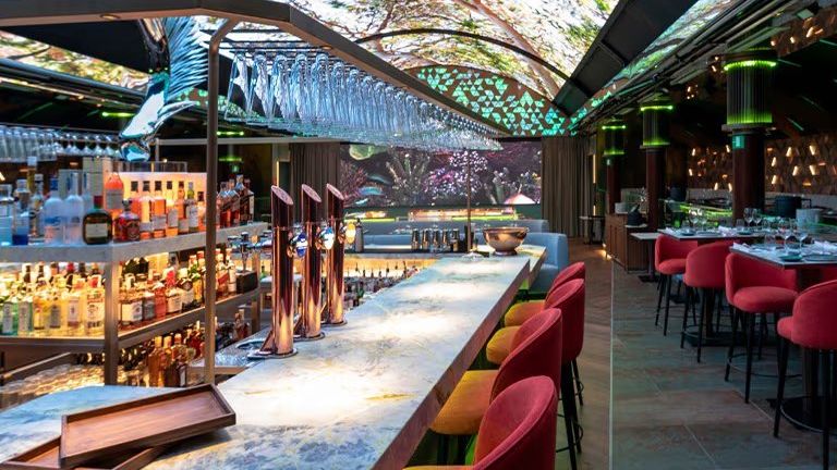 Menú Raíces en el exótico restaurante Quintoelemento