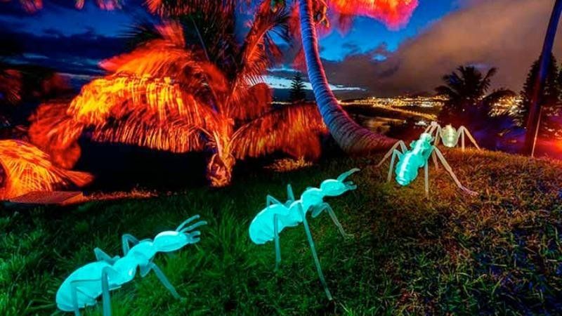 Naturaleza Encendida – Explorium