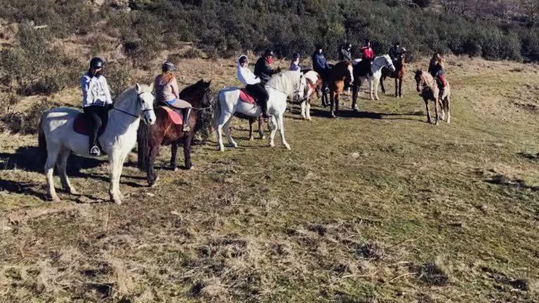 Experiencia a caballo: clases en plena naturaleza