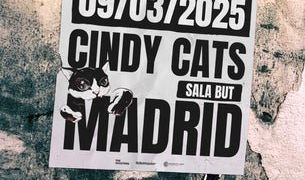 Cindy Cats