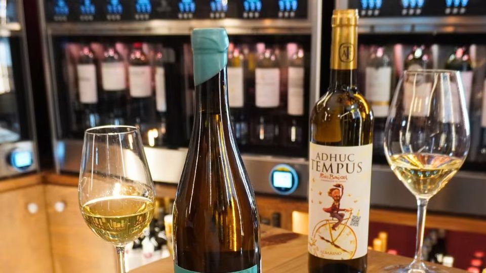 Cata maridaje en Madrid: 4 vinos + 4 tapas