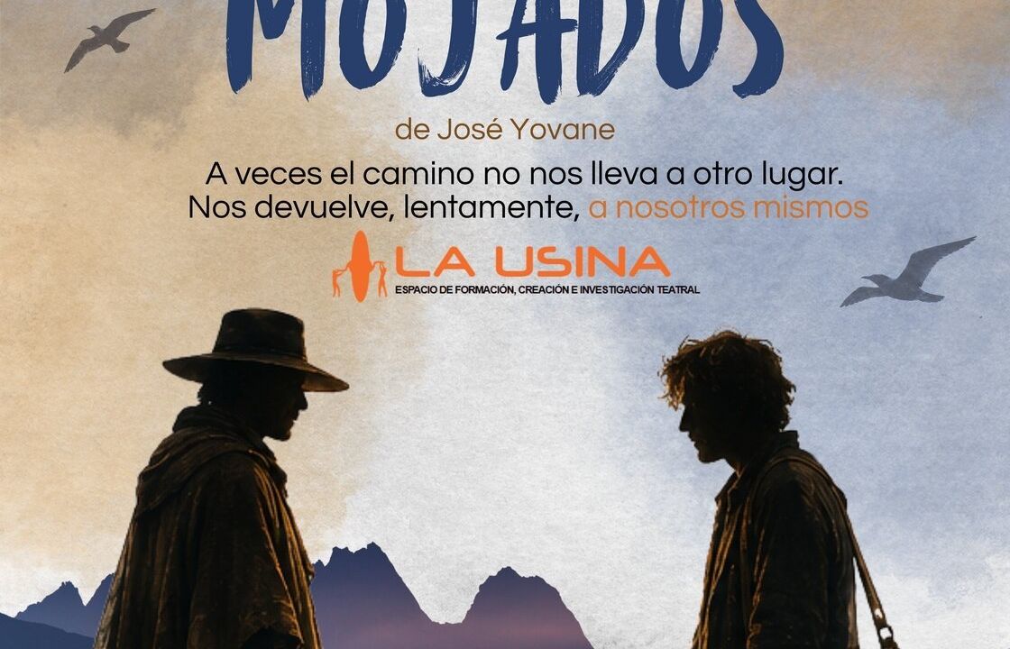 Los pájaros mojados