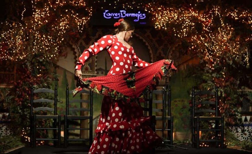 Espectáculo flamenco en Torres Bermejas