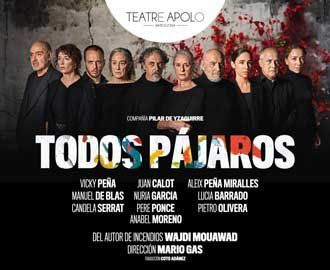 Todos pájaros