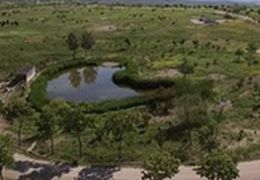 PTV. Visita al Parque Forestal (sábados)