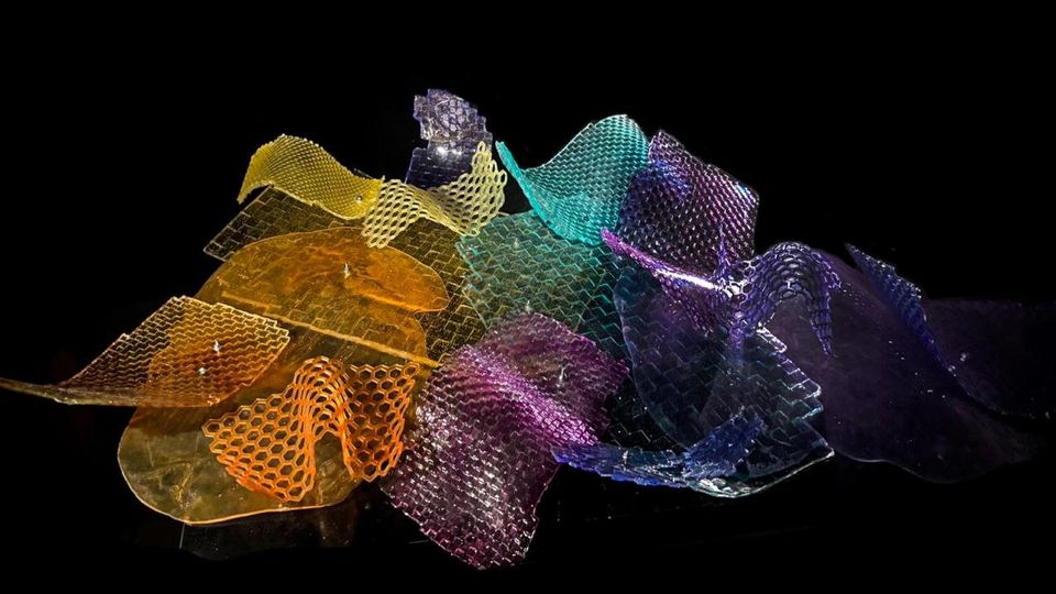 Circuitos 2026: Bitácoras. El valor de lo invisible