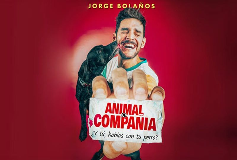 Animal de Compañía