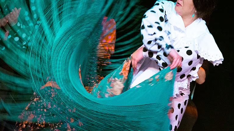 Espectáculo de Flamenco en directo