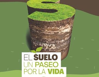 El suelo, un paseo por la vida