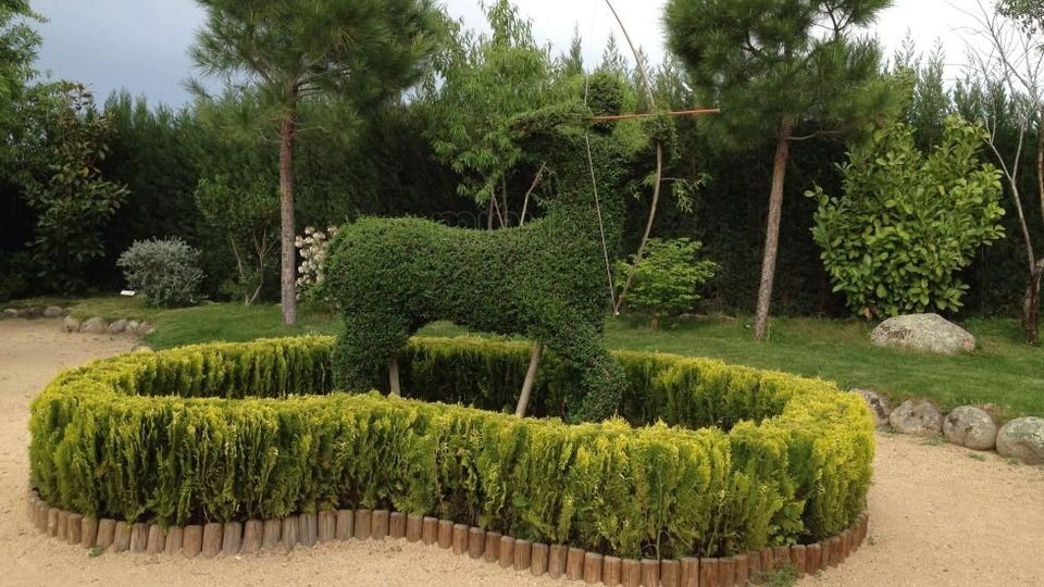 El bosque encantado