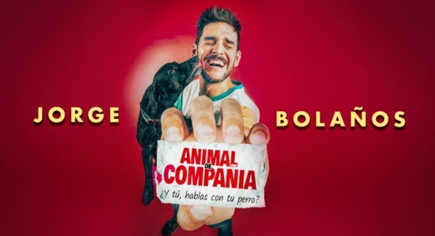 Animal de Compañía