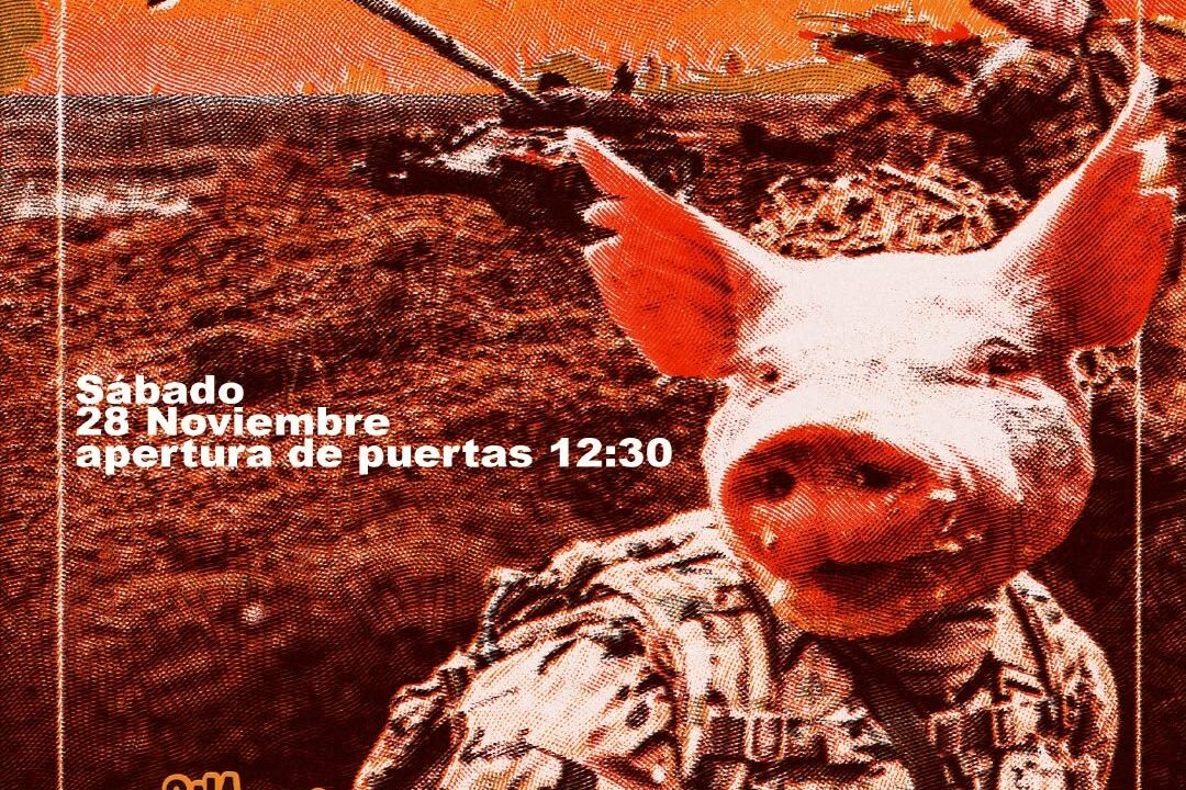 Regulars + Whitegorrino en La Trinchera