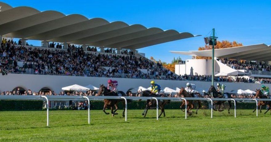 Hipotour: visita guiada y carreras en el Hipódromo de la Zarzuela