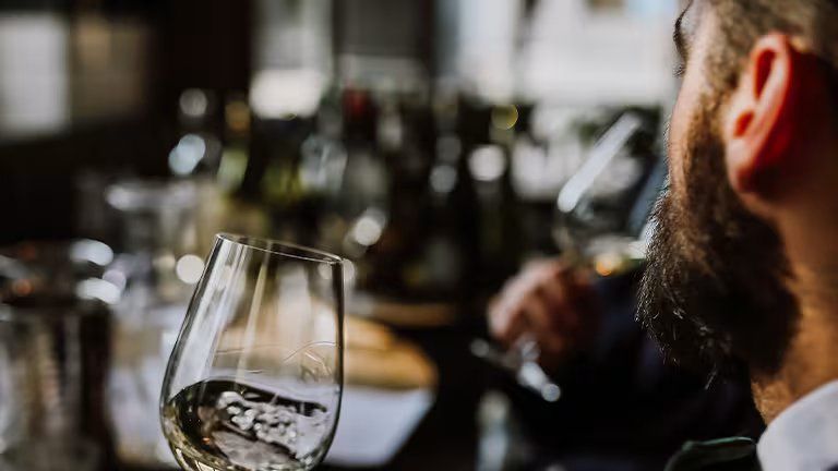 Cata de iniciación de vinos y degustación de Ibéricos en VinoPremier