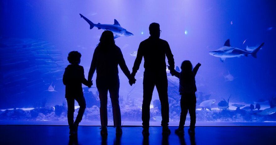 Atlantis Aquarium Madrid