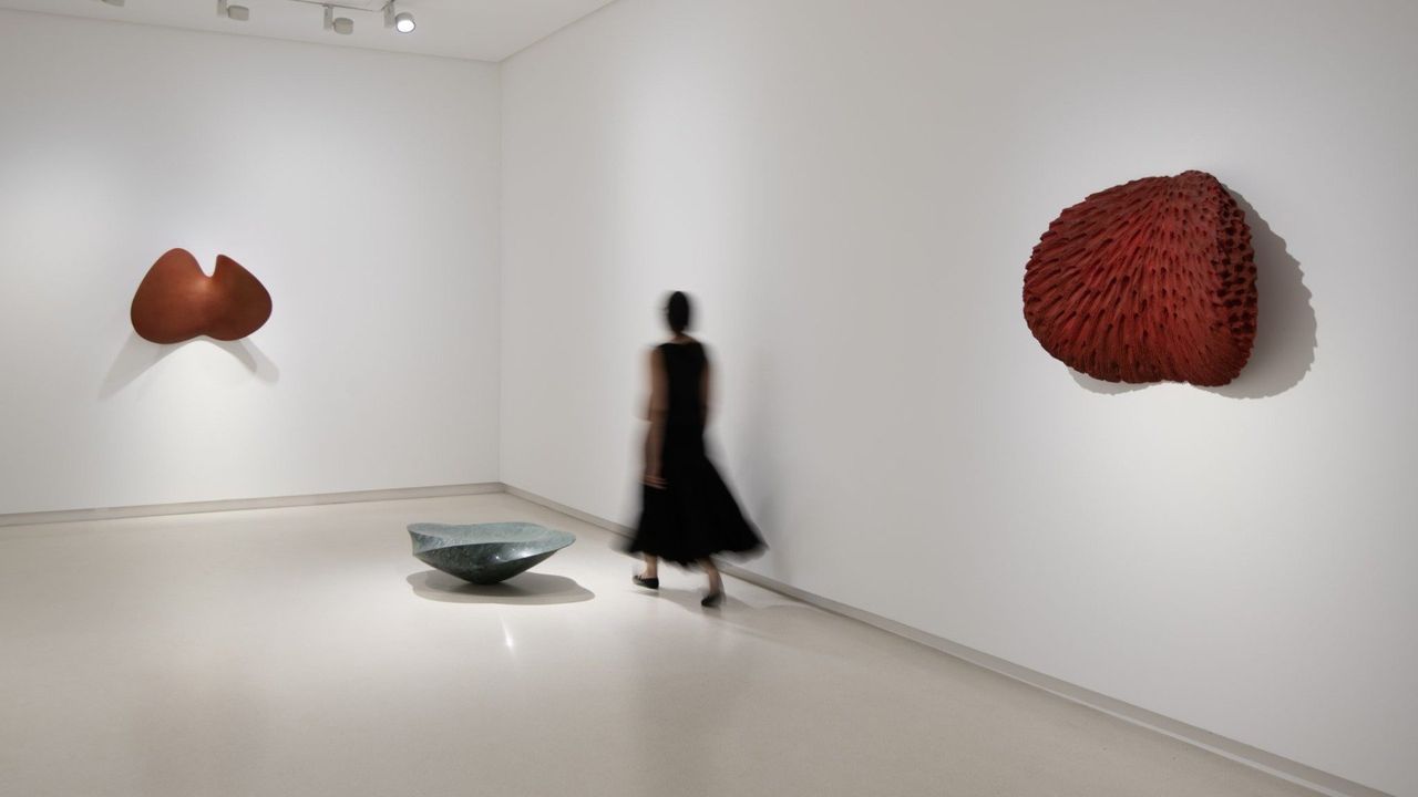 Juan Asensio. Apenas transitar. Apertura