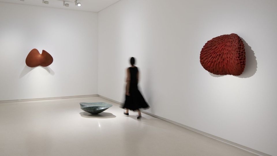 Juan Asensio. Apenas transitar. Apertura