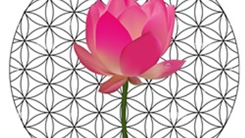 Ciclo 'Pensamiento y filosofía oriental'