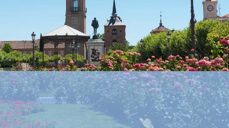 Visita Municipal Alcalá de Henares
