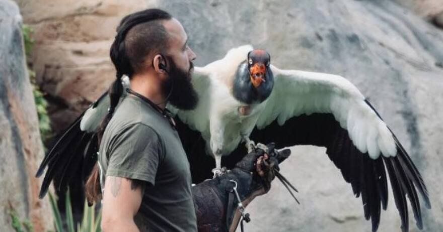 Fauna y Acción: descubre, toca e interactúa con animales asombrosos