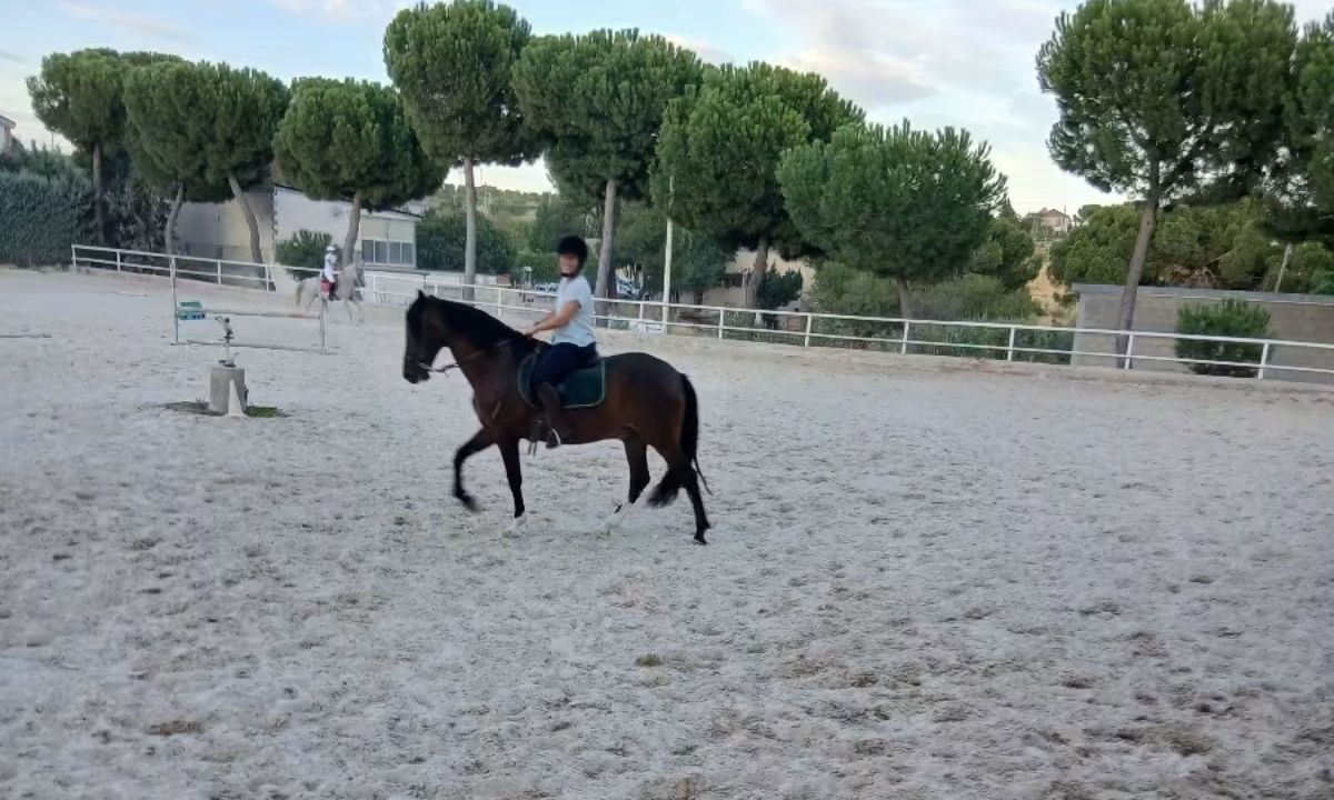 Rutas a caballo en la Escuela de Henry