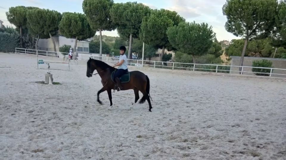 Rutas a caballo en la Escuela de Henry