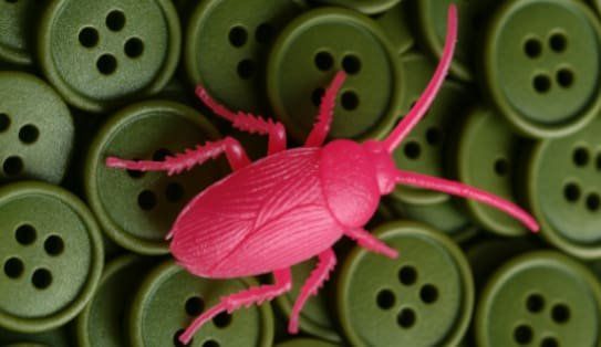 Cucaracha, de SAM HOLCROFT