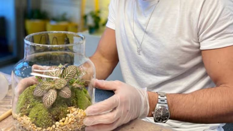 Crea tu propio terrario eterno - Madrid