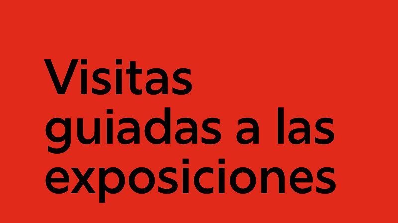 Visitas guiadas a las exposiciones