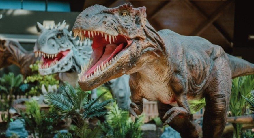 Dino Kids Experience
