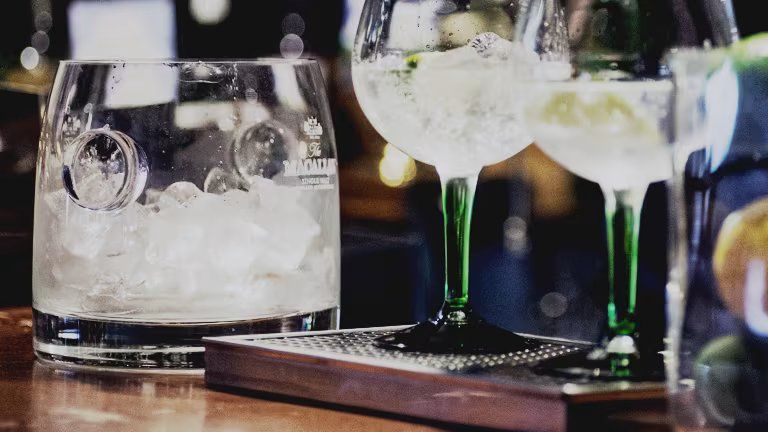 Degustación de gin tonics en Vinopremier