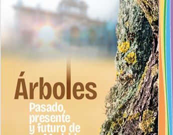 Árboles: pasado, presente y futuro de un Madrid envuelto en ramas