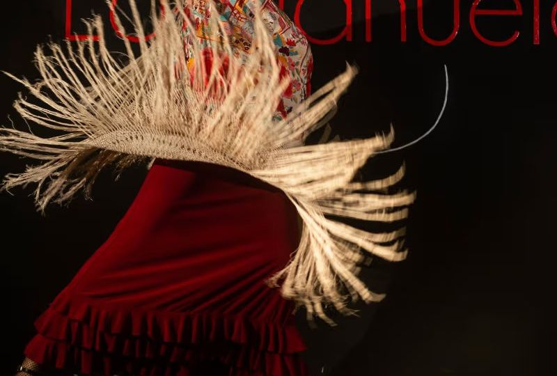 Tablao La Manuela: show de flamenco