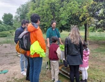 PTV. Visita estándar (lunes a viernes)
