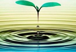 Meditación para principiantes