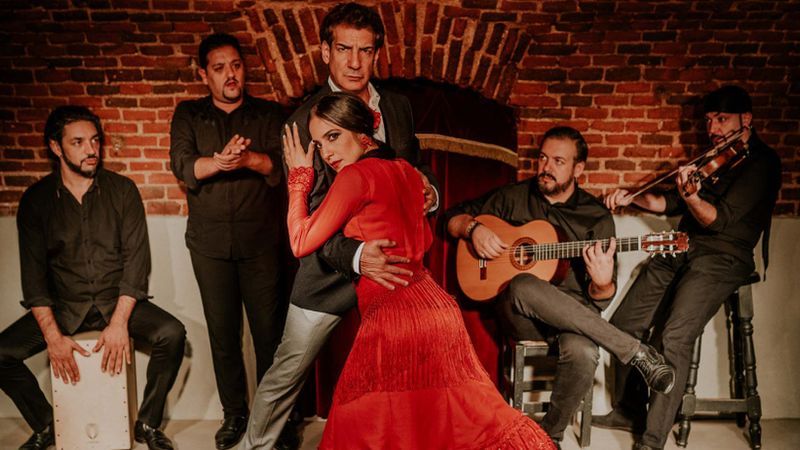 Espectáculo en la cueva histórica Essential Flamenco