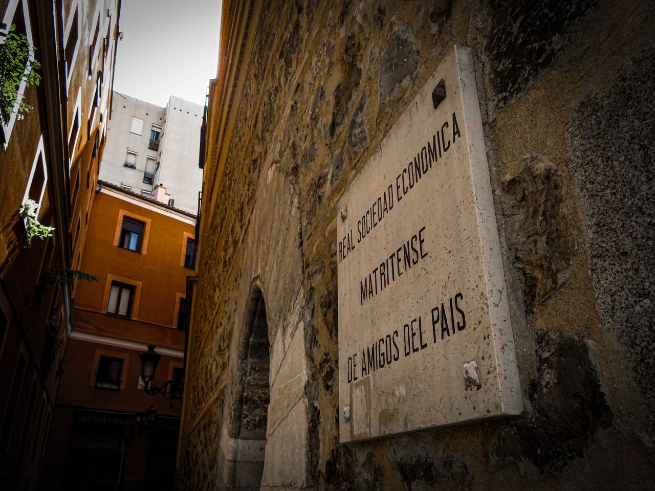 Foto: Real Sociedad Económica Matritense de Amigos del País