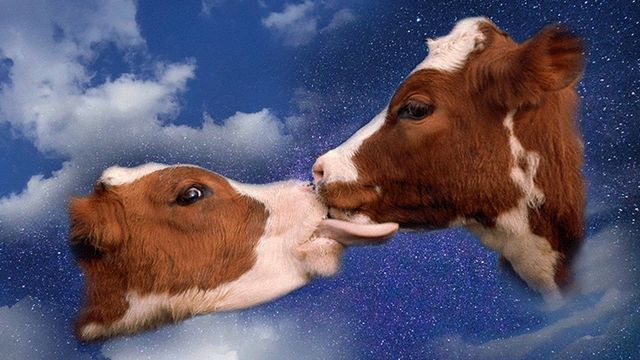 Hassan Khan. Las llaves del reino