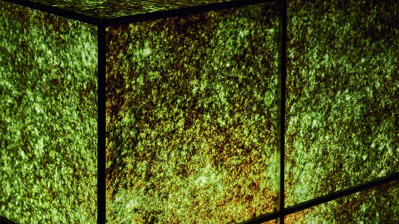 Madrid Design Festival 2025: una celebración del diseño contemporáneo