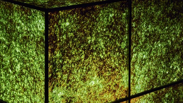 Madrid Design Festival 2025: una celebración del diseño contemporáneo