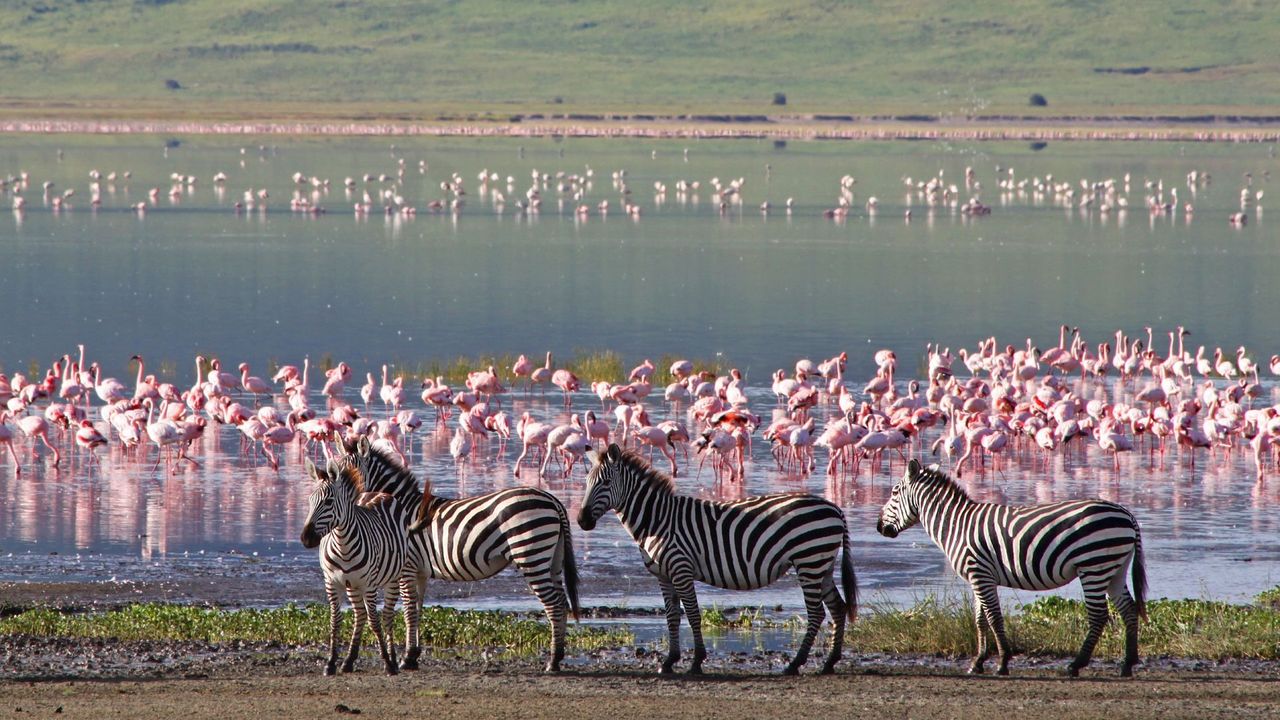 Un viaje a la esencia salvaje: desde Madrid a la naturaleza intacta de Tanzania