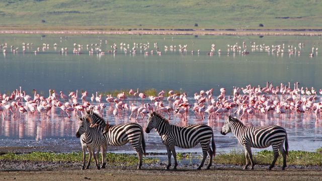 Un viaje a la esencia salvaje: desde Madrid a la naturaleza intacta de Tanzania