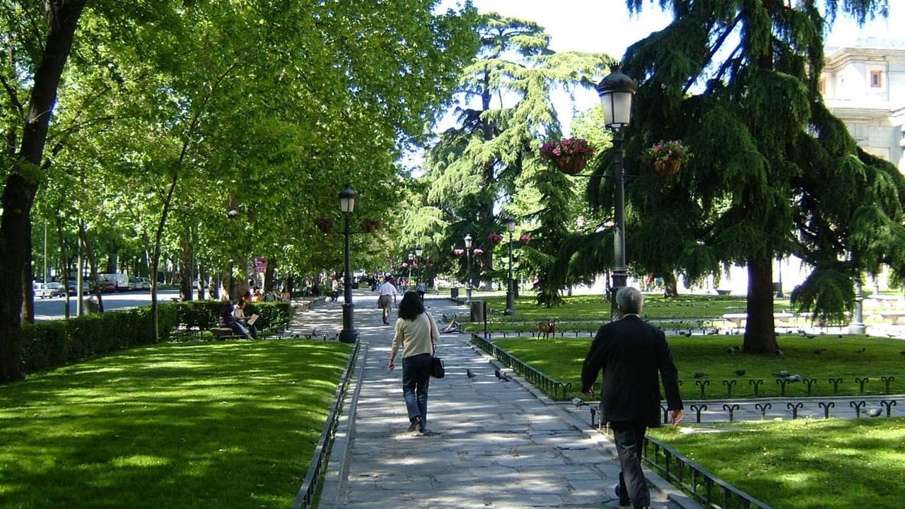 Línea recta, o casi