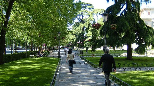 Línea recta, o casi